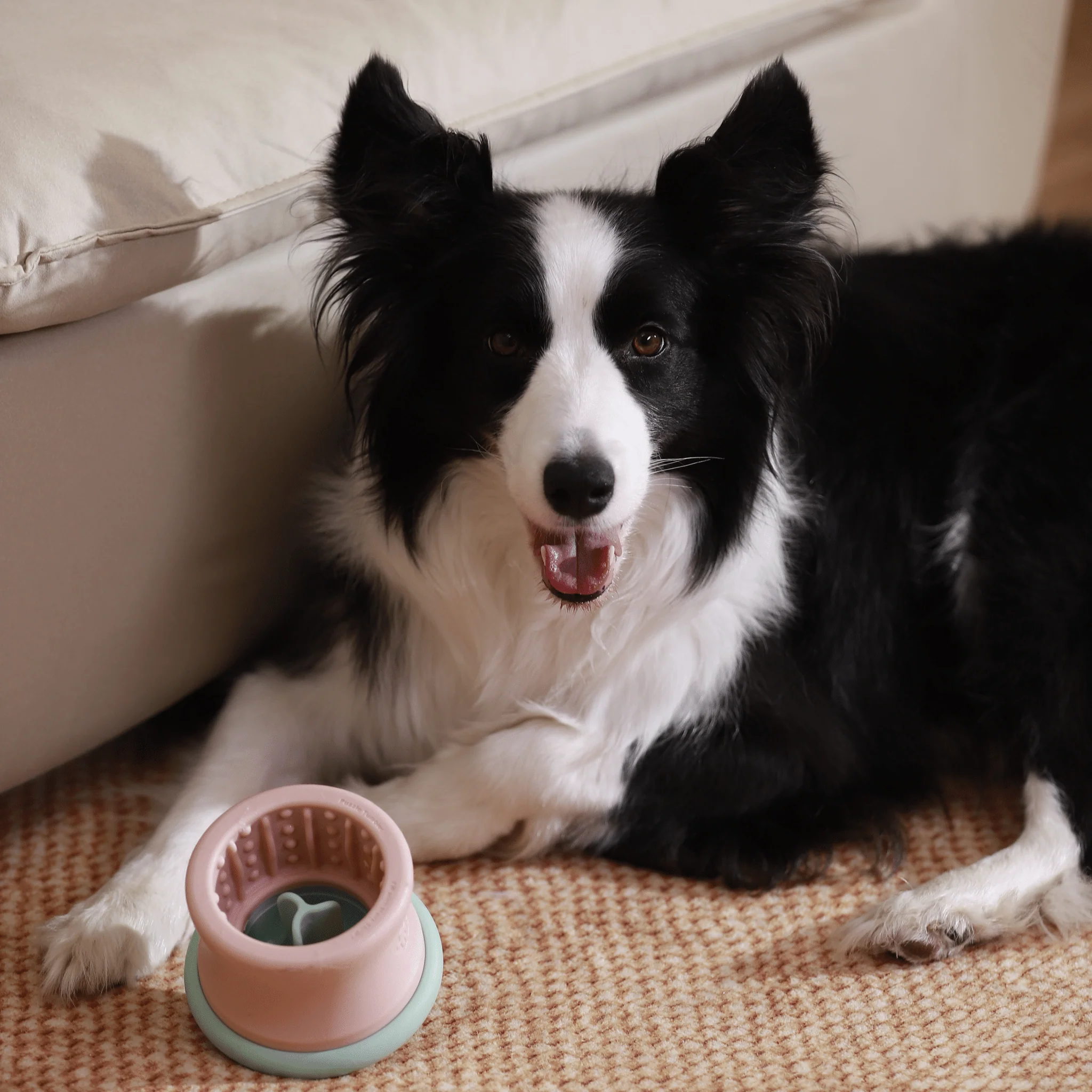 Dog Puzzle Tumbler - Puzzle Feeder Enrichment Toy (for L/XL Pups) - Image 5