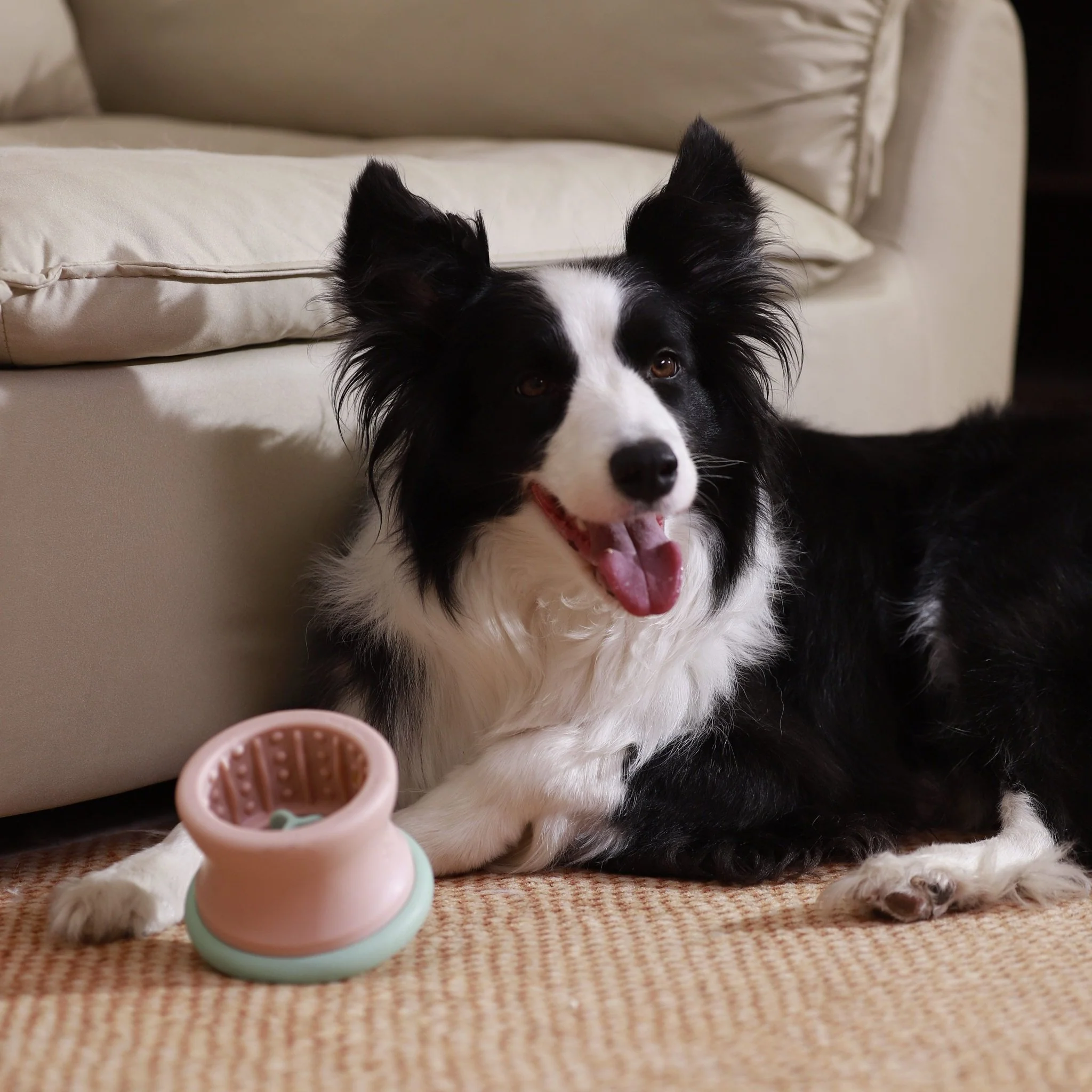 Dog Puzzle Tumbler - Puzzle Feeder Enrichment Toy (for L/XL Pups) - Image 6